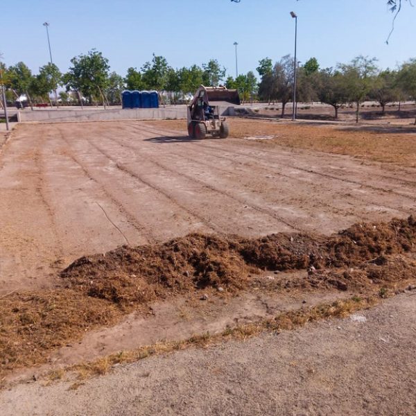 WhatsApp Image 2022-10-25 at 4.45.03 PM (1)