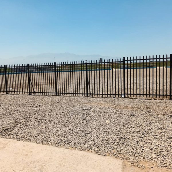 WhatsApp Image 2022-11-28 at 1.48.12 PM